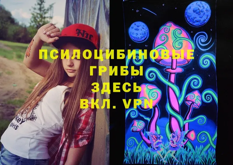 mega рабочий сайт  Приморск  Псилоцибиновые грибы Psilocybe  купить закладку 