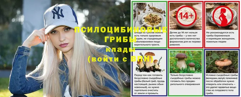 Галлюциногенные грибы Psilocybine cubensis Приморск